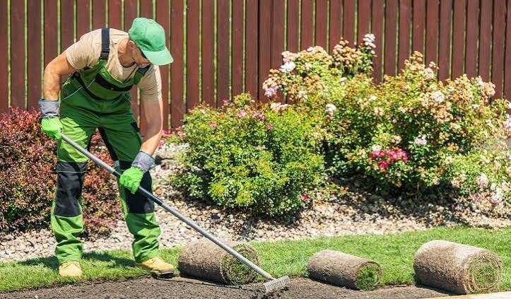 A landscaper laying fresh sod in a garden